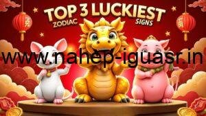 Top 3 Luckiest Chinese Zodiac Signs