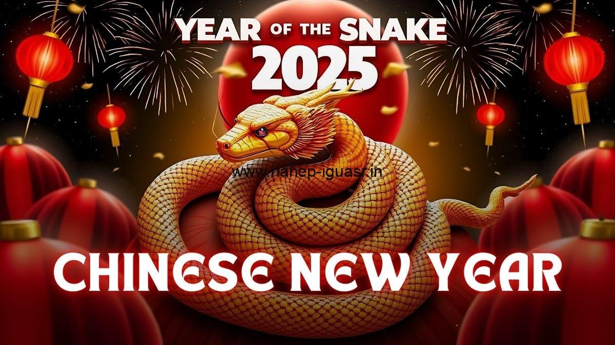 Chinese New Year 2025: Celebrate the Year of the Snake!